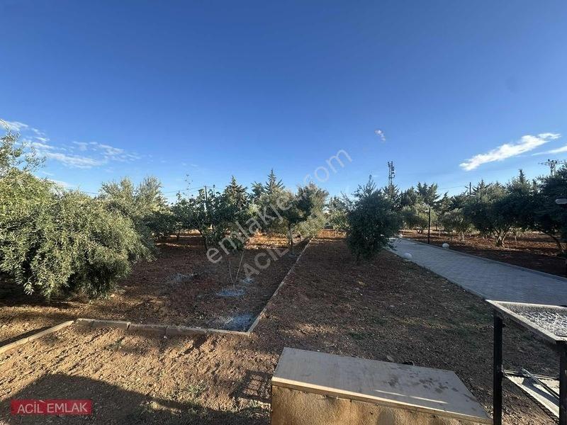Acil Emlak'tan Gölpınar'da Bağ Evi — fotoğraf 3