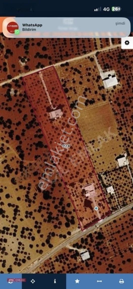 Acil Emlak'tan Gölpınar'da Bağ Evi — fotoğraf 5