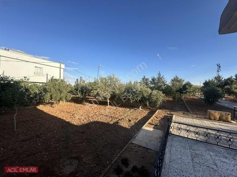 Acil Emlak'tan Gölpınar'da Bağ Evi — fotoğraf 10