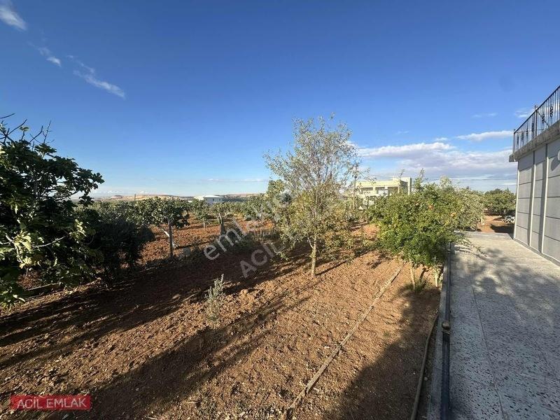 Acil Emlak'tan Gölpınar'da Bağ Evi — fotoğraf 12