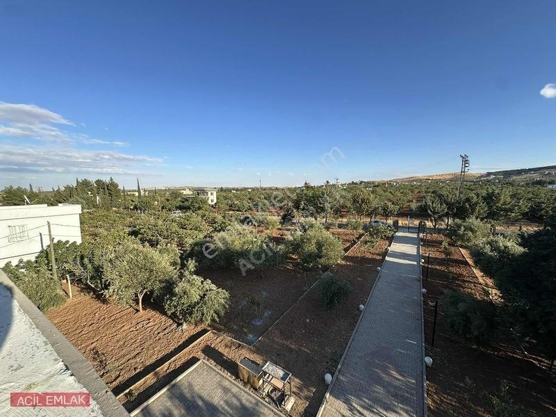 Acil Emlak'tan Gölpınar'da Bağ Evi — fotoğraf 30