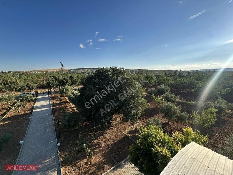 Acil Emlak'tan Gölpınar'da Bağ Evi — fotoğraf 31