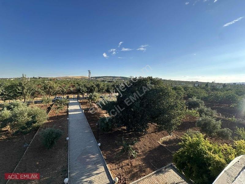 Acil Emlak'tan Gölpınar'da Bağ Evi — fotoğraf 32