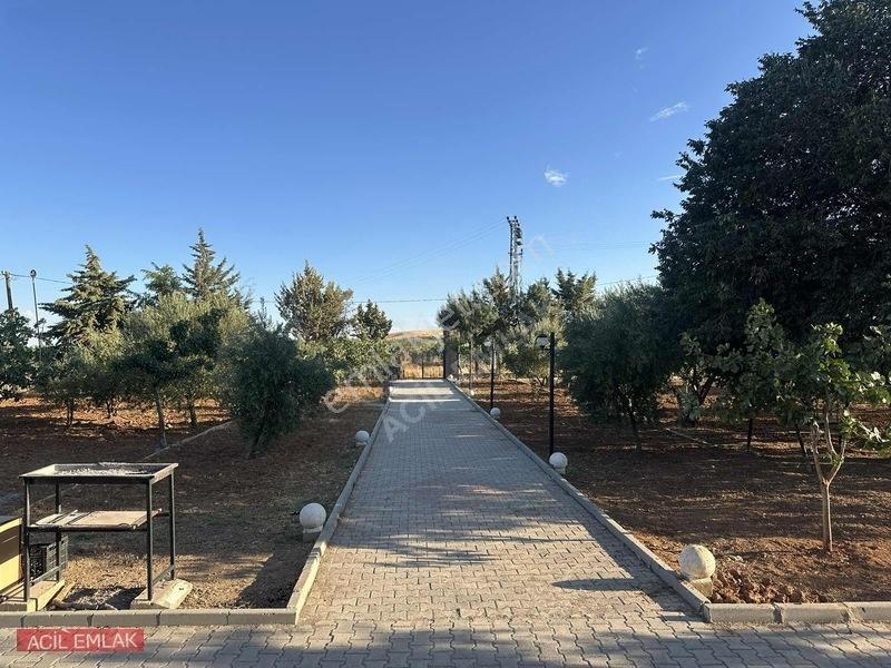 Acil Emlak'tan Gölpınar'da Bağ Evi — fotoğraf 35
