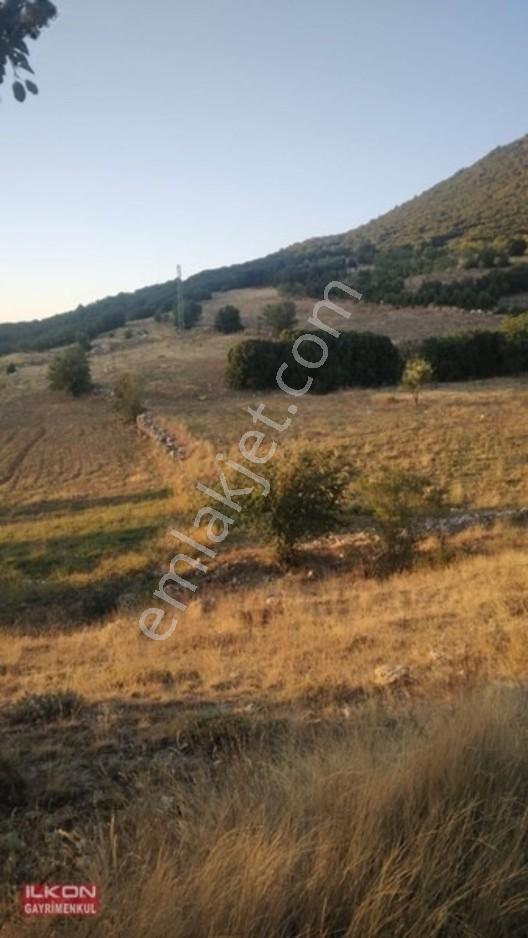 Seydikemer Seki Mah.ilkon'dan Satılık Arazi — fotoğraf 6