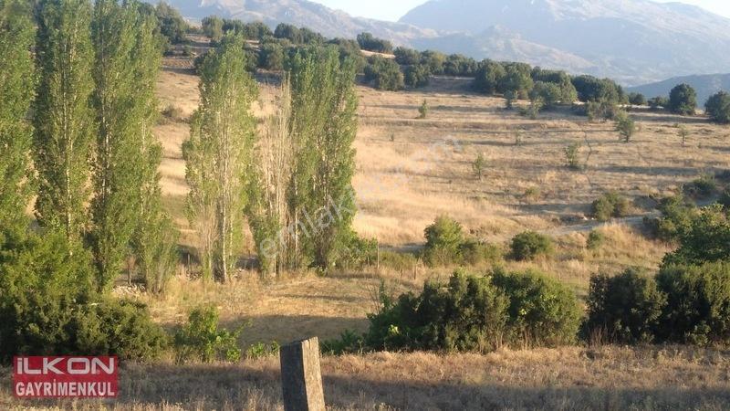 Seydikemer Seki Mah.ilkon'dan Satılık Arazi — fotoğraf 7
