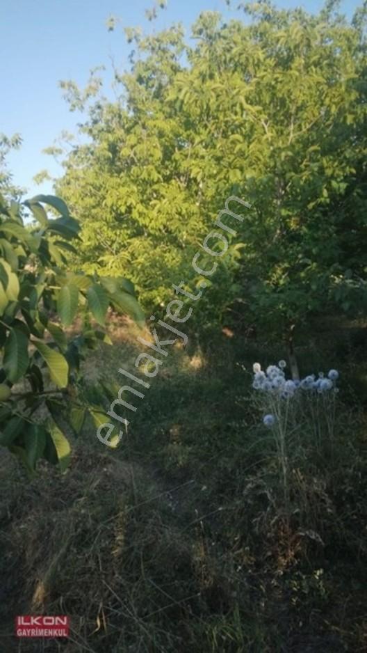 Seydikemer Seki Mah.ilkon'dan Satılık Arazi — fotoğraf 9
