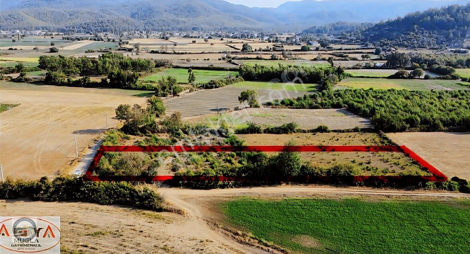 Gökova Esentepede Bağ Bahçe Evi Yapımına Uygun Tarla