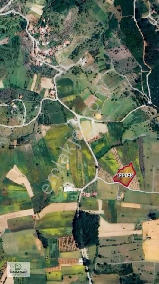 Milas Çiftlikte 6.154 M² Yola Cepheli Satılık Yatırımlık Tarla