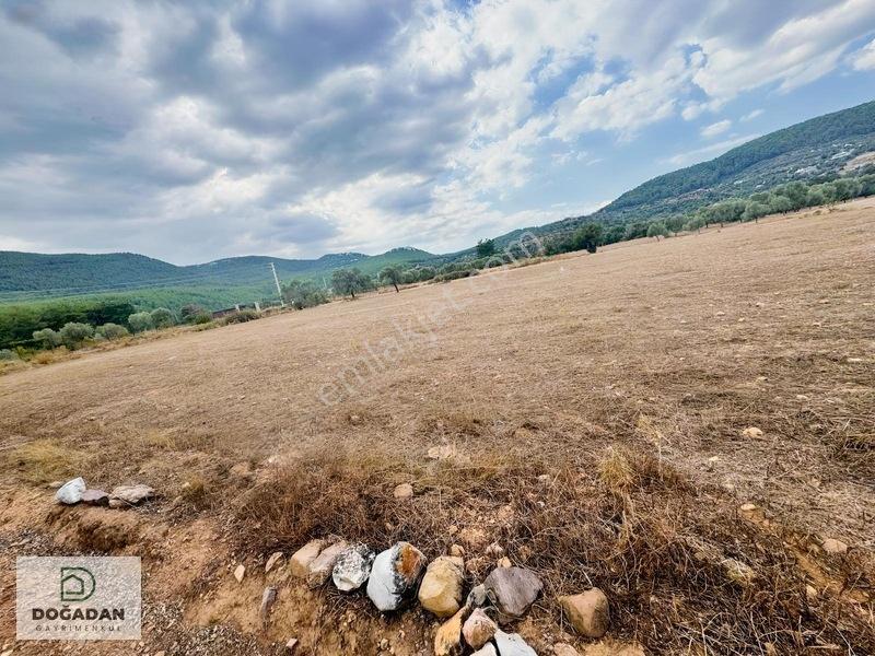 Milas Çiftlikte 6.154 M² Yola Cepheli Satılık Yatırımlık Tarla — fotoğraf 3