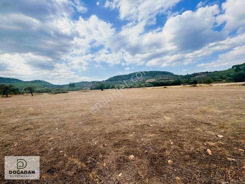Milas Çiftlikte 6.154 M² Yola Cepheli Satılık Yatırımlık Tarla — fotoğraf 4