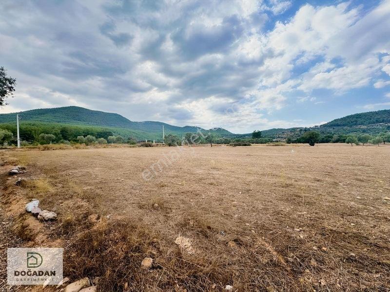 Milas Çiftlikte 6.154 M² Yola Cepheli Satılık Yatırımlık Tarla — fotoğraf 5
