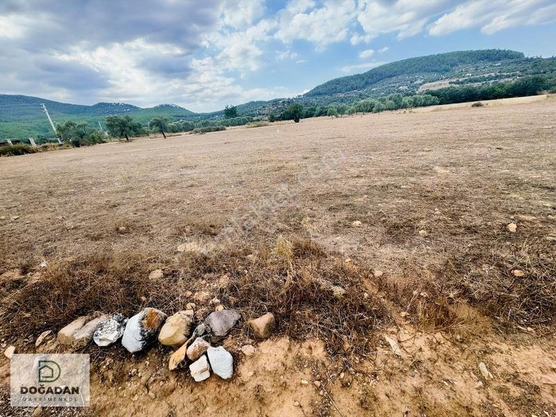 Milas Çiftlikte 6.154 M² Yola Cepheli Satılık Yatırımlık Tarla — fotoğraf 6