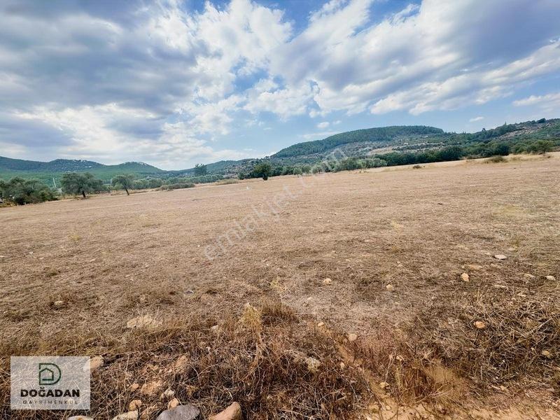 Milas Çiftlikte 6.154 M² Yola Cepheli Satılık Yatırımlık Tarla — fotoğraf 7