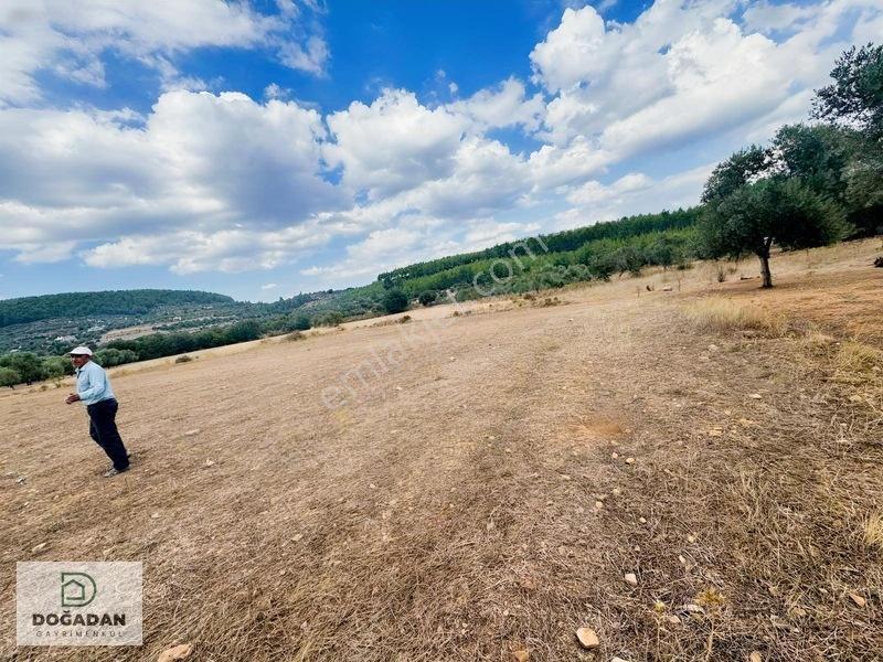 Milas Çiftlikte 6.154 M² Yola Cepheli Satılık Yatırımlık Tarla — fotoğraf 8
