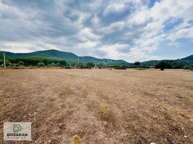 Milas Çiftlikte 6.154 M² Yola Cepheli Satılık Yatırımlık Tarla — fotoğraf 9