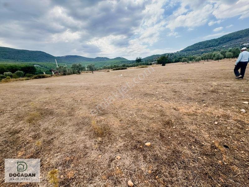 Milas Çiftlikte 6.154 M² Yola Cepheli Satılık Yatırımlık Tarla — fotoğraf 10