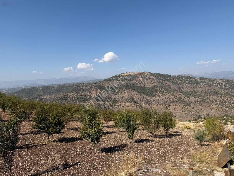 Sarıçukurda Satılık Villalık Yer — fotoğraf 5