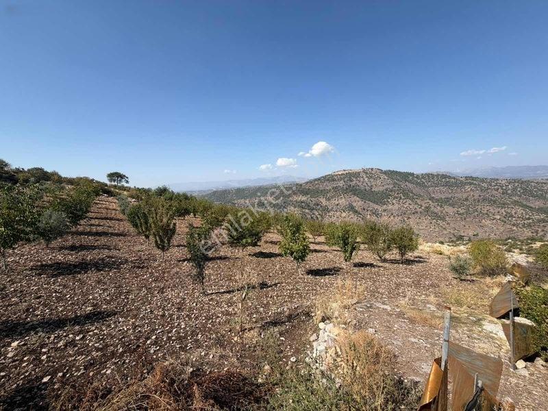 Sarıçukurda Satılık Villalık Yer — fotoğraf 6