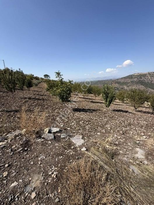 Sarıçukurda Satılık Villalık Yer — fotoğraf 9