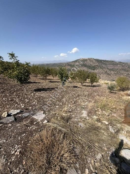 Sarıçukurda Satılık Villalık Yer — fotoğraf 10