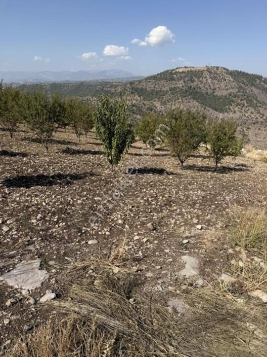 Sarıçukurda Satılık Villalık Yer — fotoğraf 11