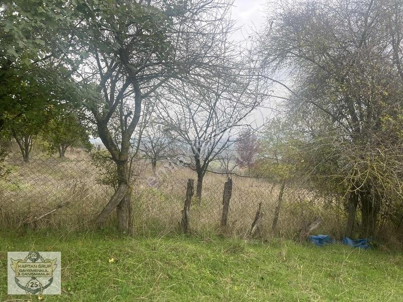 Körfez Sıpahiler Köyü — fotoğraf 6