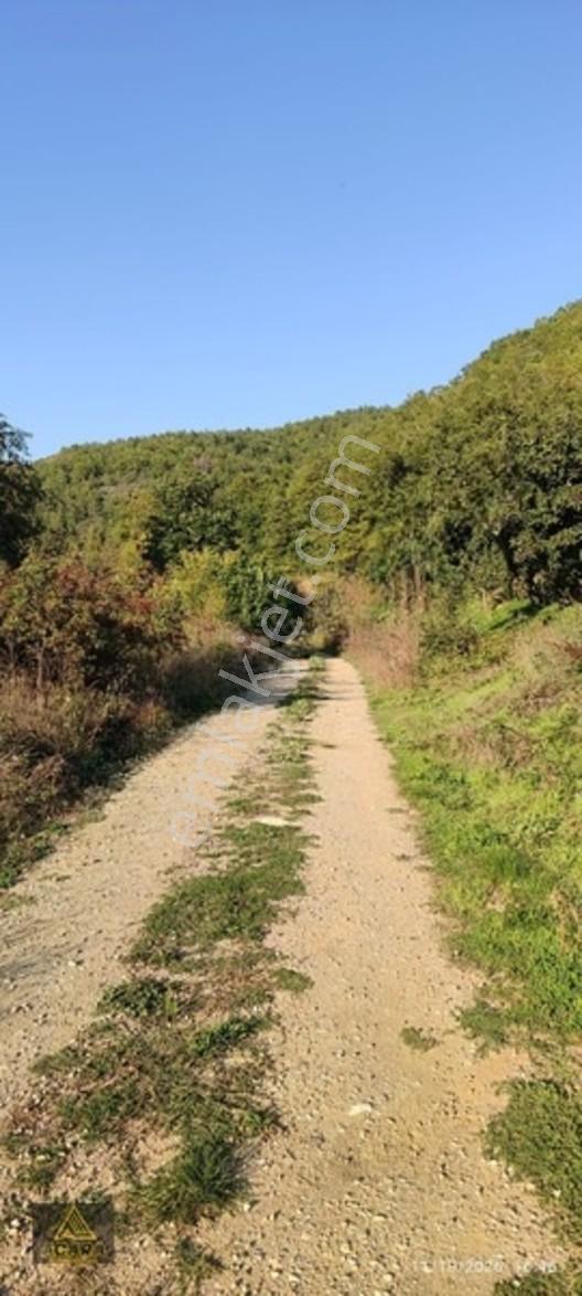 İznik Gürmüzlüde 3 Adet Yol Ve Dereye Cephe/Toplam 880 M²Tarla