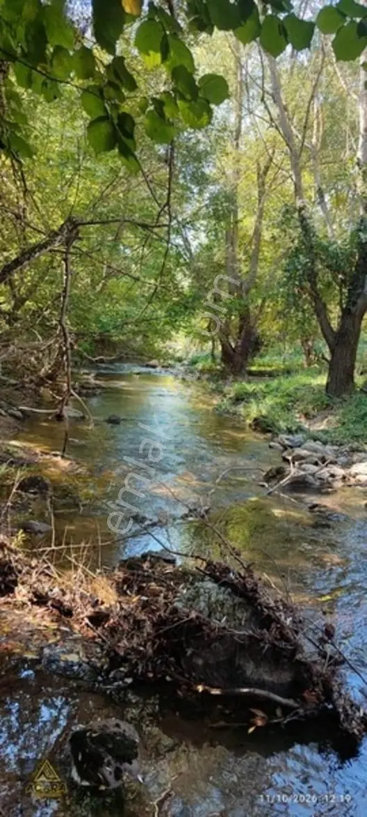 İznik Gürmüzlüde 3 Adet Yol Ve Dereye Cephe/toplam 880 M²tarla — fotoğraf 2