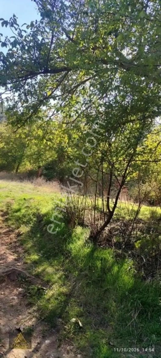 İznik Gürmüzlüde 3 Adet Yol Ve Dereye Cephe/toplam 880 M²tarla — fotoğraf 3