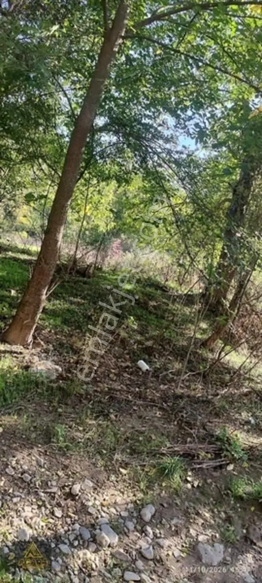 İznik Gürmüzlüde 3 Adet Yol Ve Dereye Cephe/toplam 880 M²tarla — fotoğraf 4