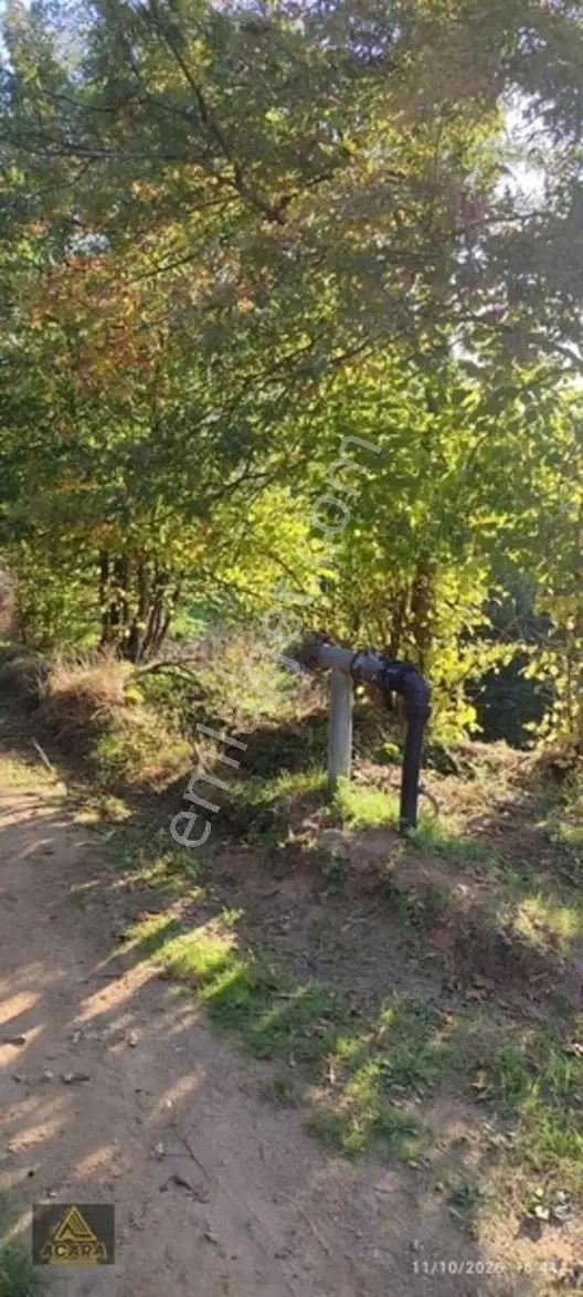 İznik Gürmüzlüde 3 Adet Yol Ve Dereye Cephe/toplam 880 M²tarla — fotoğraf 6