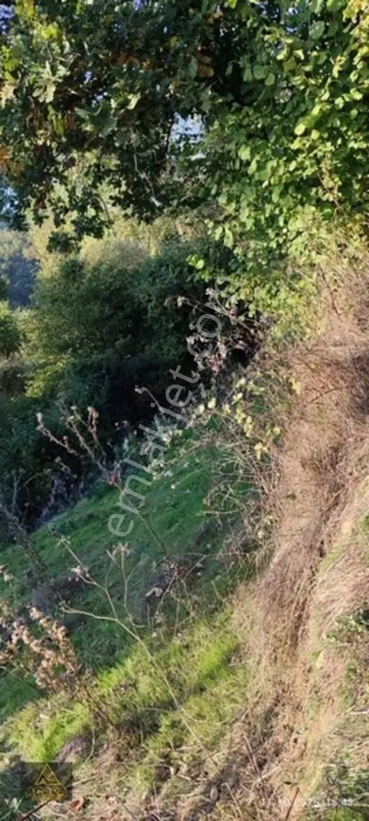 İznik Gürmüzlüde 3 Adet Yol Ve Dereye Cephe/toplam 880 M²tarla — fotoğraf 7