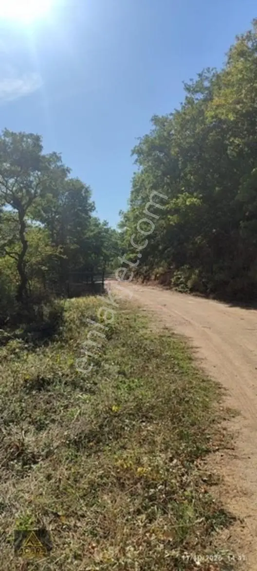 İznik Gürmüzlüde 3 Adet Yol Ve Dereye Cephe/toplam 880 M²tarla — fotoğraf 8