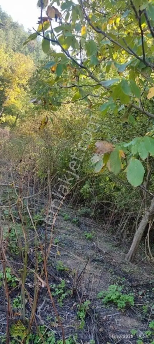 İznik Gürmüzlüde 3 Adet Yol Ve Dereye Cephe/toplam 880 M²tarla — fotoğraf 11