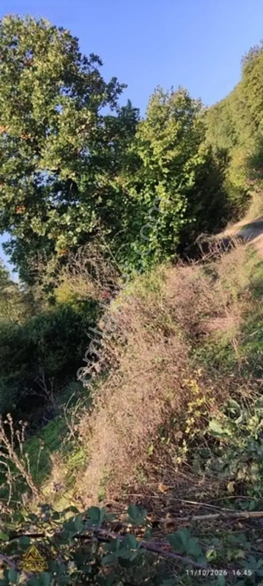 İznik Gürmüzlüde 3 Adet Yol Ve Dereye Cephe/toplam 880 M²tarla — fotoğraf 13