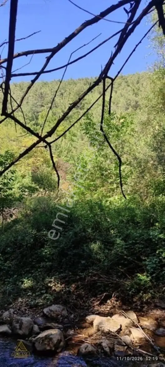 İznik Gürmüzlüde 3 Adet Yol Ve Dereye Cephe/toplam 880 M²tarla — fotoğraf 14