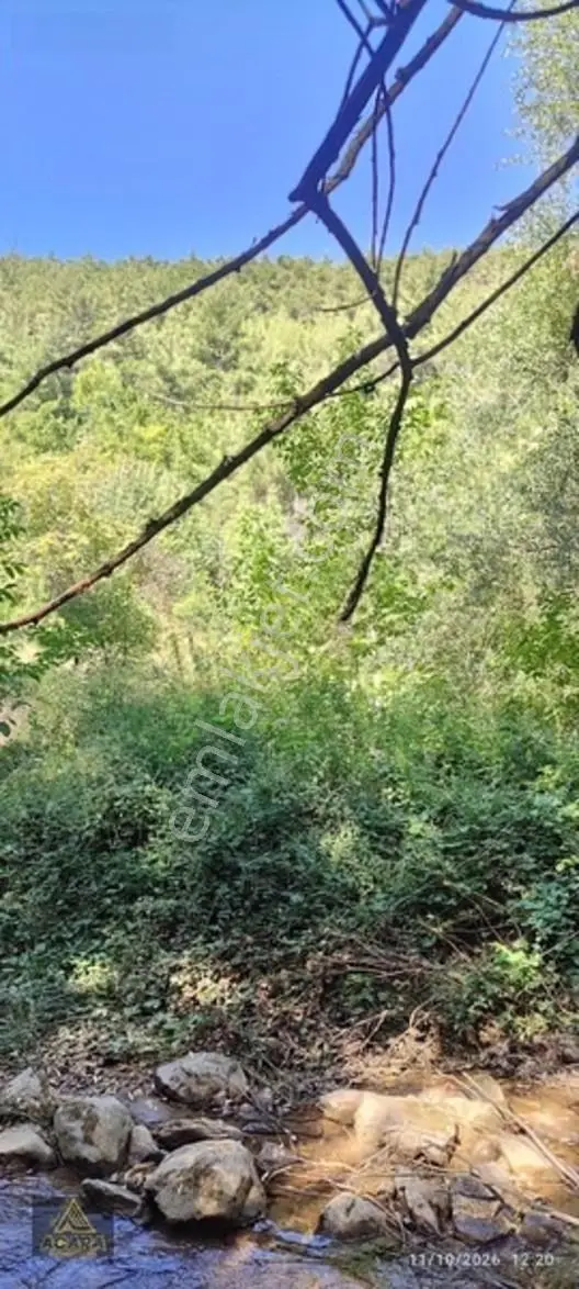 İznik Gürmüzlüde 3 Adet Yol Ve Dereye Cephe/toplam 880 M²tarla — fotoğraf 15