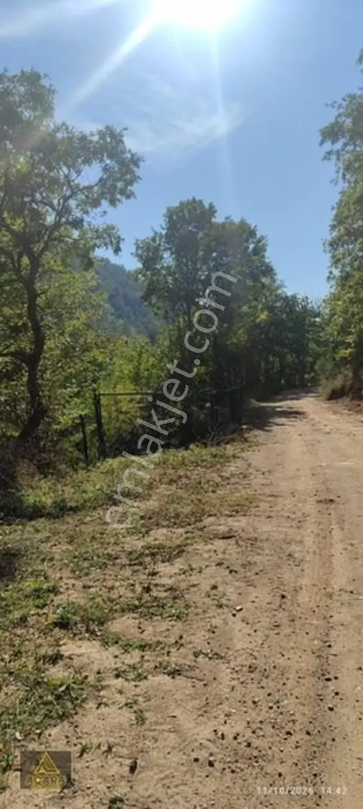 İznik Gürmüzlüde 3 Adet Yol Ve Dereye Cephe/toplam 880 M²tarla — fotoğraf 16