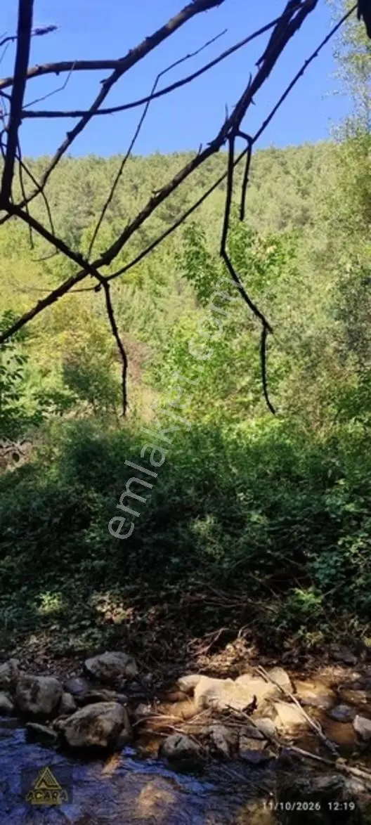 İznik Gürmüzlüde 3 Adet Yol Ve Dereye Cephe/toplam 880 M²tarla — fotoğraf 17