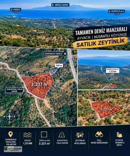 Ayvacık Nusratlıda Full Deniz Manzaralı Satılık Zeytinlik!