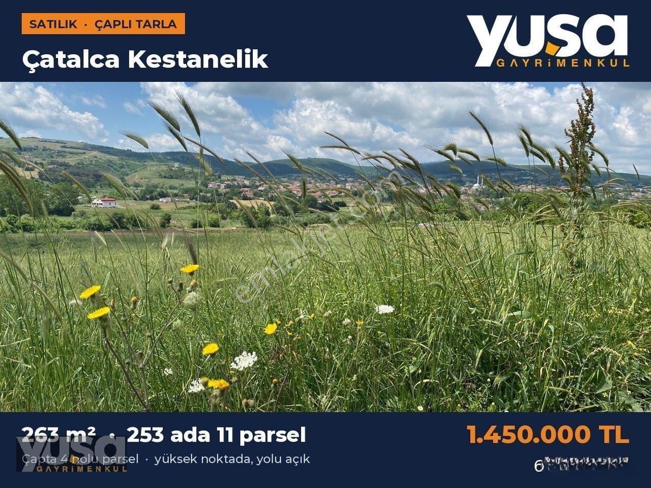 Çatalca Kestanelik 253 Ada 11 Parsel 263 M² Çaplı Tarla