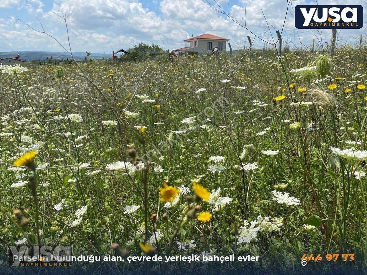 Çatalca Kestanelik 253 Ada 11 Parsel 263 M² Çaplı Tarla — fotoğraf 4