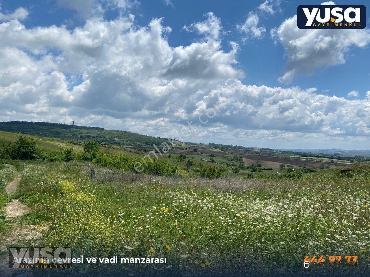 Çatalca Kestanelik 253 Ada 11 Parsel 263 M² Çaplı Tarla — fotoğraf 6
