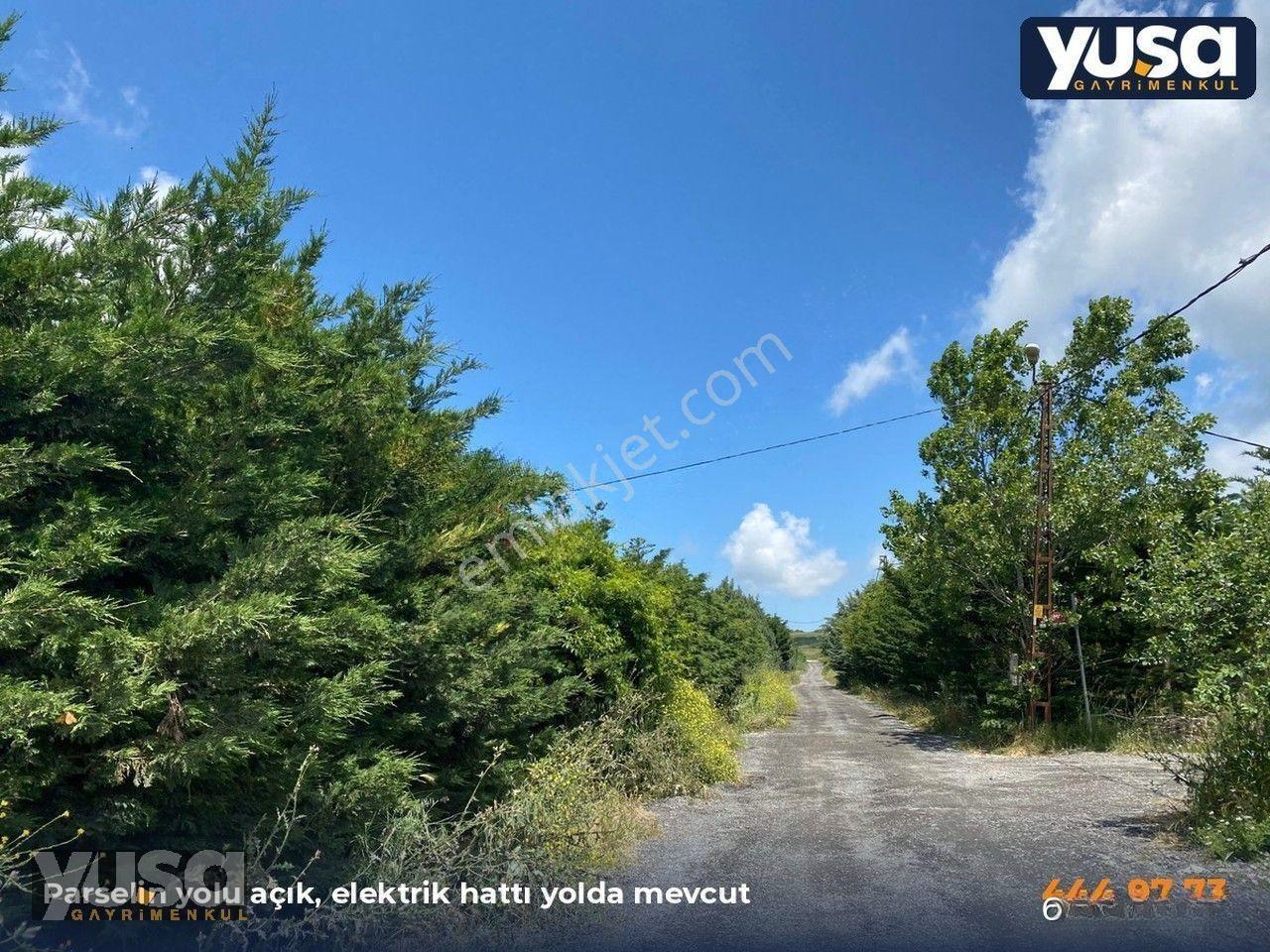 Çatalca Kestanelik 253 Ada 11 Parsel 263 M² Çaplı Tarla — fotoğraf 9