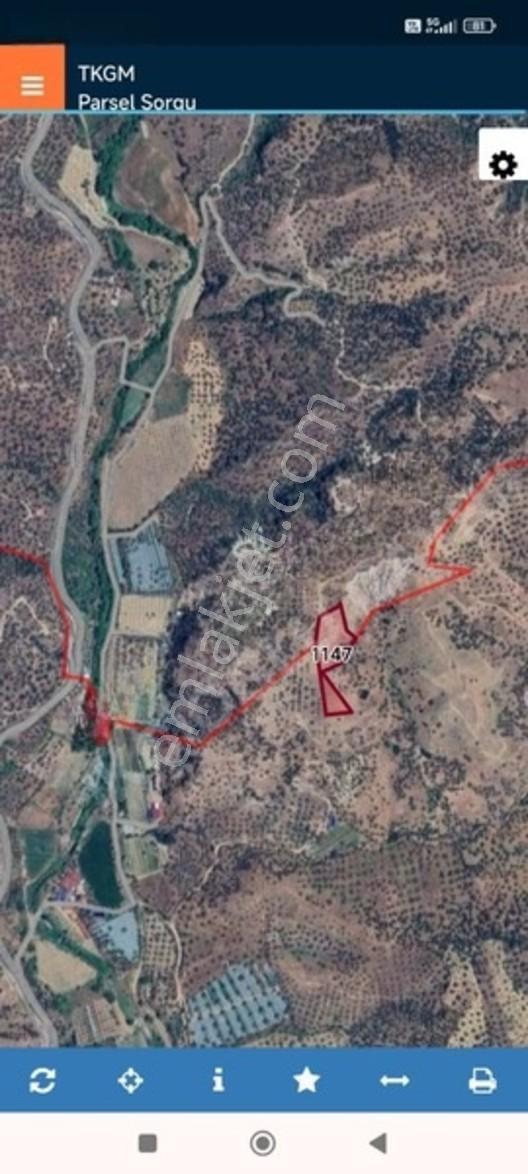 Aydın Sultanhisar Da 5.017.00 Dönüm Zeytinlik Tek Tapu — fotoğraf 2