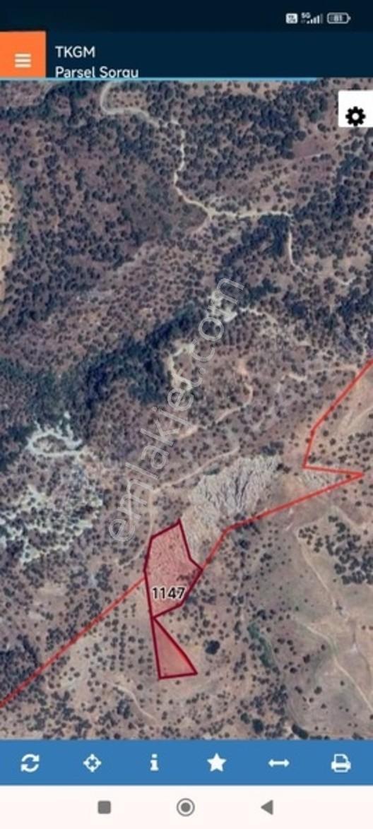 Aydın Sultanhisar Da 5.017.00 Dönüm Zeytinlik Tek Tapu — fotoğraf 3