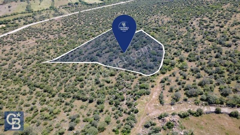 Aliağa Kalabak Köyünde 9.700 M² Satılık Tarla