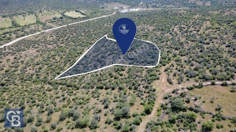 Aliağa Kalabak Köyünde 9.700 M² Satılık Tarla — fotoğraf 2