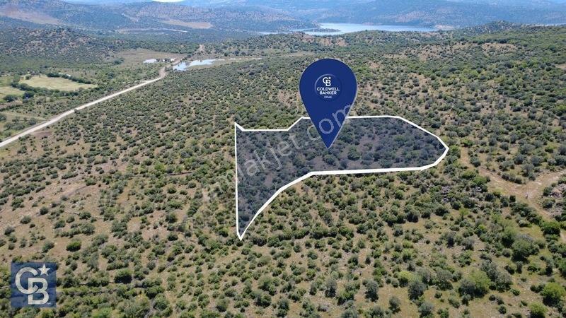 Aliağa Kalabak Köyünde 9.700 M² Satılık Tarla — fotoğraf 3